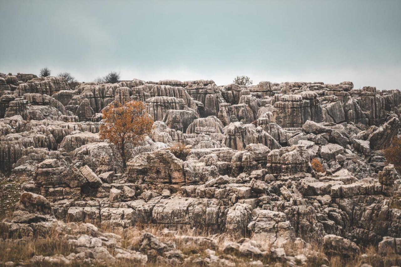 Odom Retreat Hotel Mzaar Kfardebian Luaran gambar